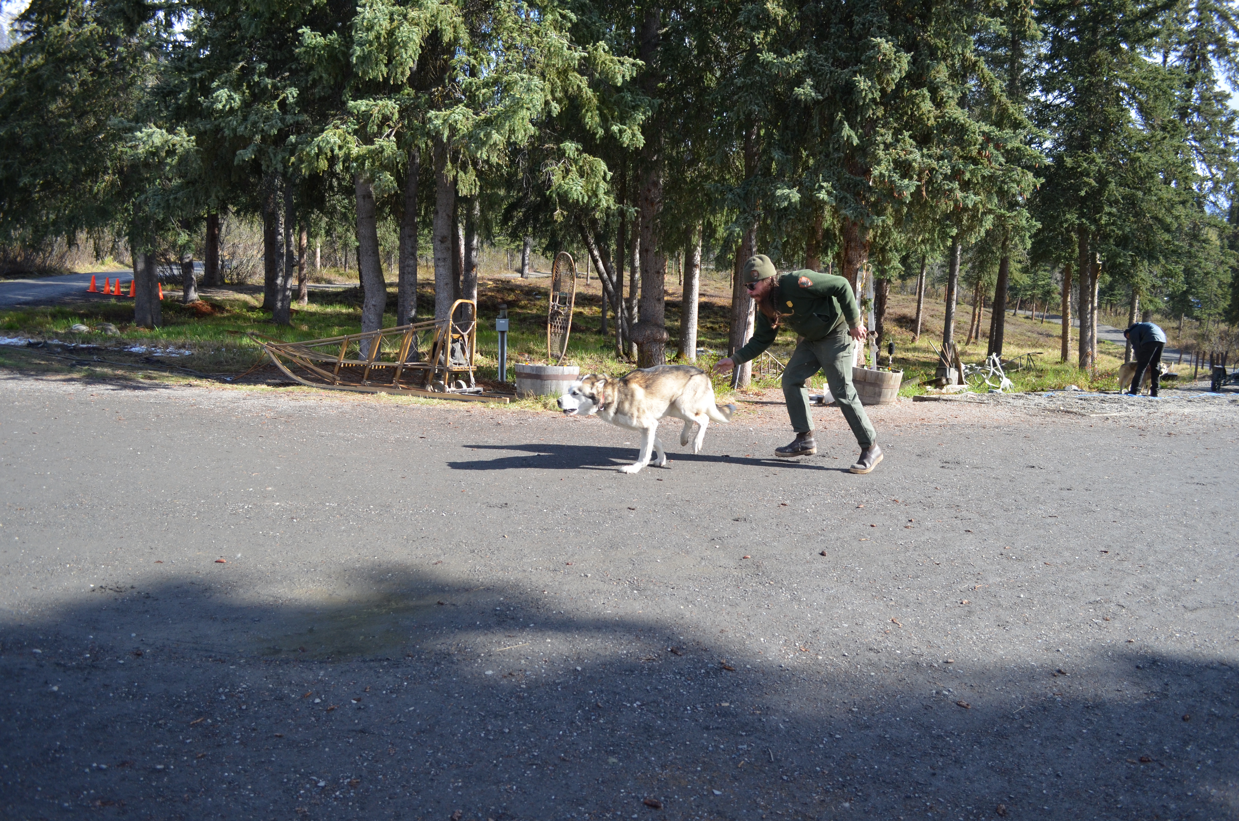 ./2017/08 - Alaska Cruise/03 - Denali/DSC_0276.JPG